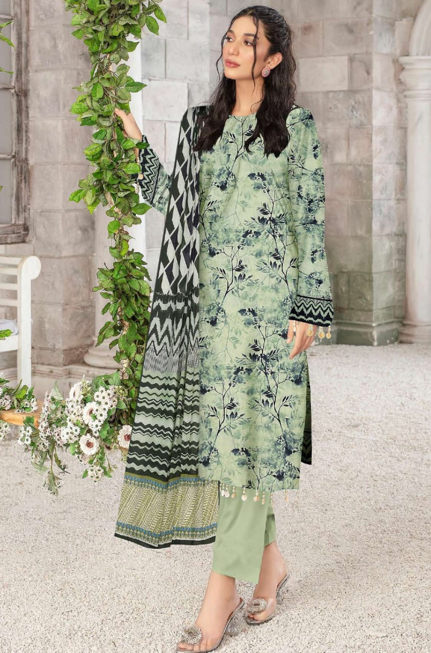 Zara ALi Vol-Ethnic 3-Piece 09